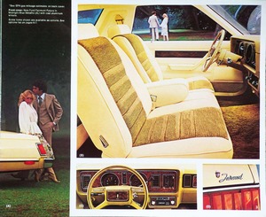 1979 Ford Futura-03.jpg